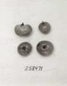 Click for 1 image(s) for this accession. FRUIT